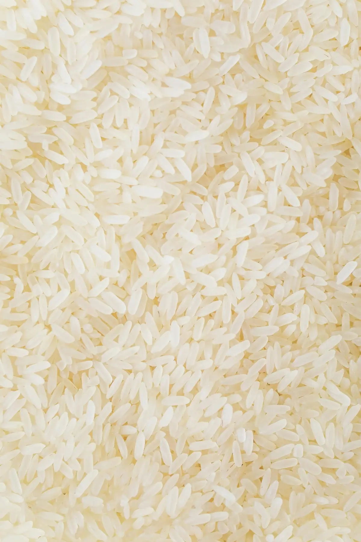 Sona Masoori Rice