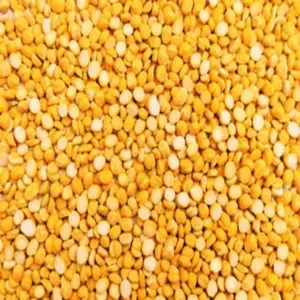 Split Chickpeas