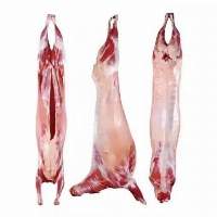 Goat Mutton Meat Carcass