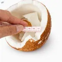Premium Fresh Mature Coconut Semi Husked