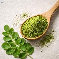 Export Quality Premium Moringa Leaf Powder 