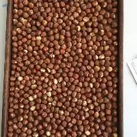 Hazelnut