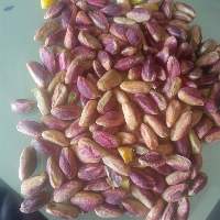 pistachios