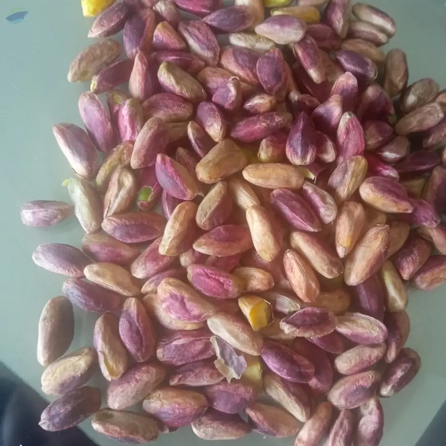 Premium Natural Pistachios Bulk Supply