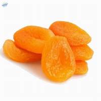 Sulphured Dried Apricot Bulk Supply