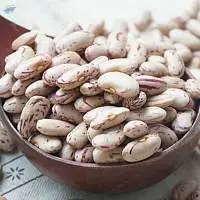 Organic Pinto Beans