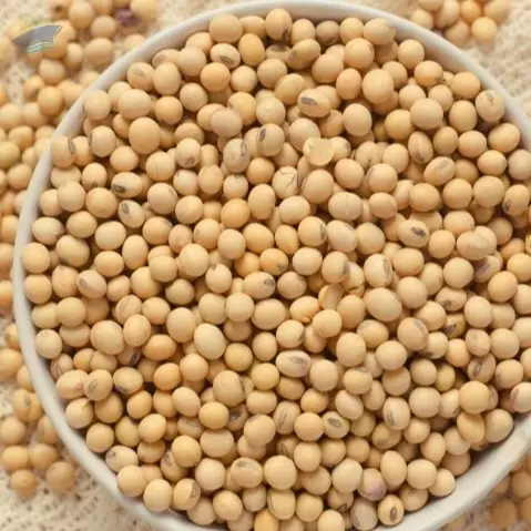 Soybean