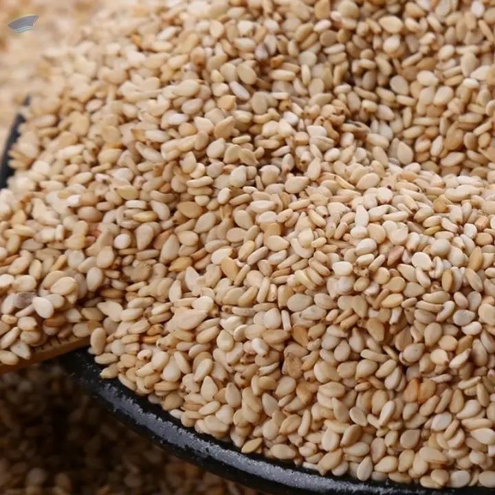 Sesame Seeds