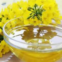 Canola Oil