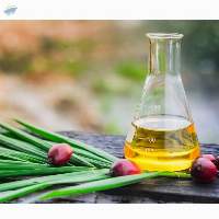 Palm Oil