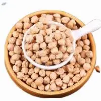Wholesale Chickpeas Natural Raw