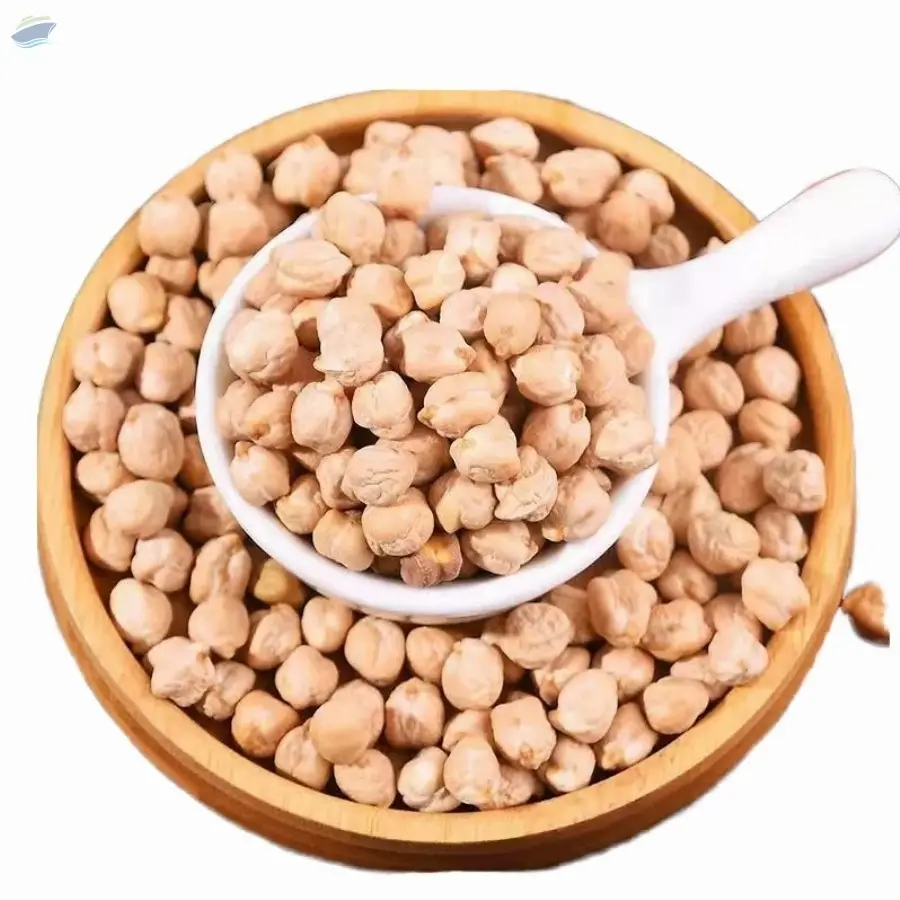 Wholesale Chickpeas Natural Raw