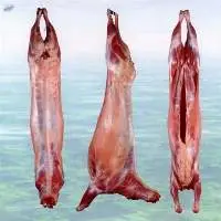 Wholesale Lamb Meat Carcass