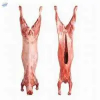 Fresh Frozen Lamb Meat
