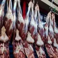 Best Fresh Frozen Lamb Meat