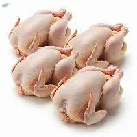Frozen Whole Chickens Frozen Halal