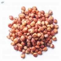 Sorghum Grains And Good Quality