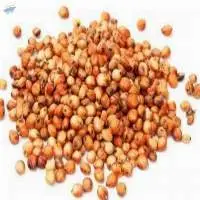 Red White and Yellow Sorghum Seeds