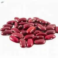 Wholesale Red Kidney Beans