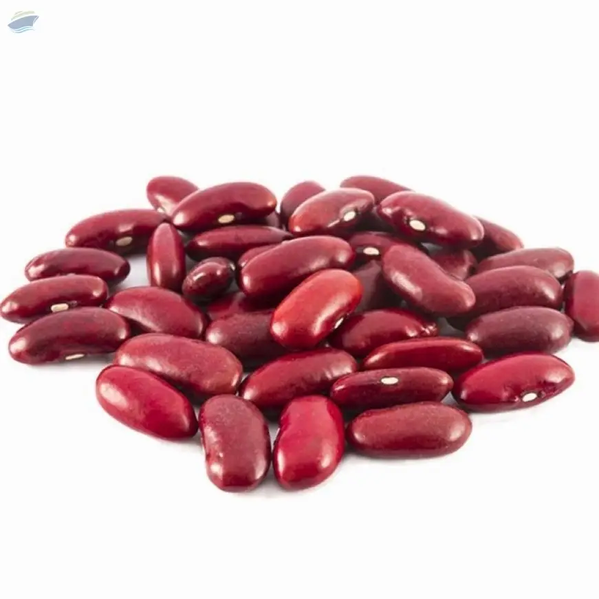 Wholesale Red Kidney Beans
