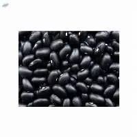 Best Black Kidney Beans
