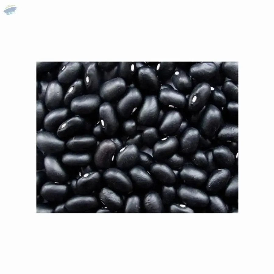 Best Black Kidney Beans
