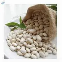 White Kidney Beans Chinese Butter Beans