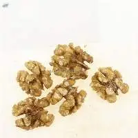 Bulk Selling Raw Walnuts