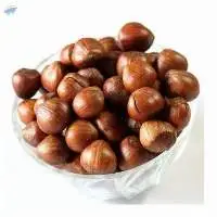 Raw Hazelnut