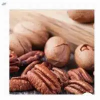 Pecan Nuts