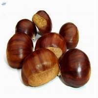 Low Price Raw Chestnut