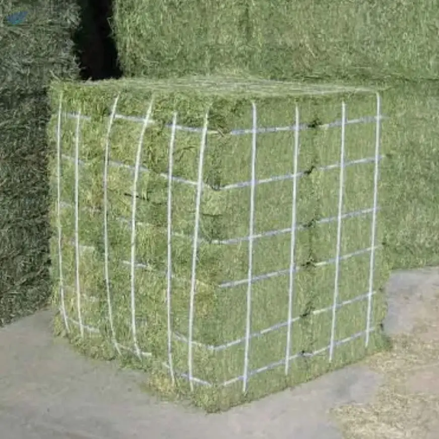 Top Quality Animal Feed Alfafa Hay
