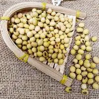GMO Yellow Soybean Seeds