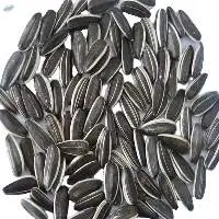 Private Label Sunflower Seeds 361 363