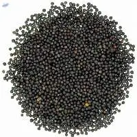 Best Quality Dried Rapeseed/Canola Seeds