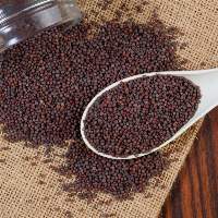 Dried Rapeseed/Canola Seeds