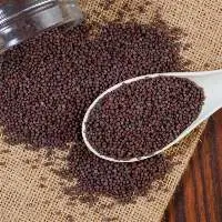 Dried Rapeseed/Canola Seeds