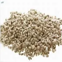 Raw Organic Cotton Seeds  