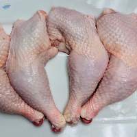 Wholesale Frozen Chicken Thighs