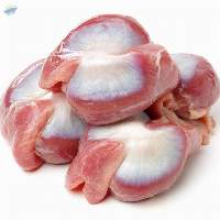Best Halal Chicken Gizzard