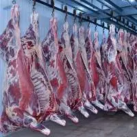 Wholesale Halal Buffalo Boneless Meat