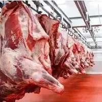 Frozen Beef Frozen Beef Cow Meat