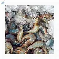 Fresh Frozen King Crab