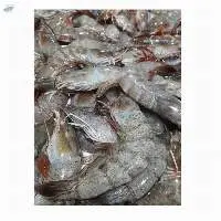White Shrimp Frozen Seafood 100%