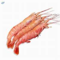 Frozen Whole Red Shrimps Clean Packed