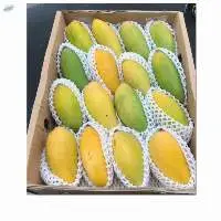 Premium Fresh Mangoes