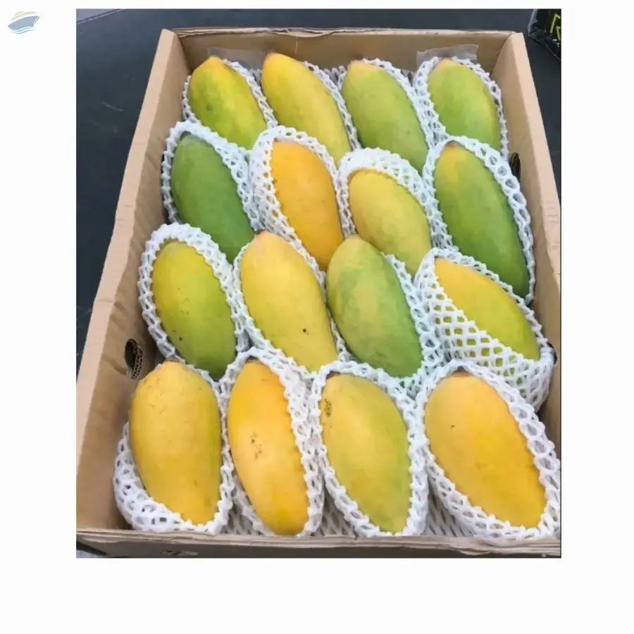 Premium Fresh Mangoes