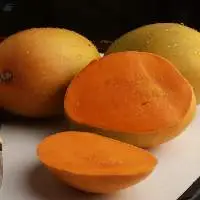 Fresh Yellow Mango