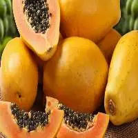 Top Selling Papaya Best Quality