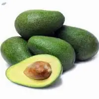 Organic Avocado